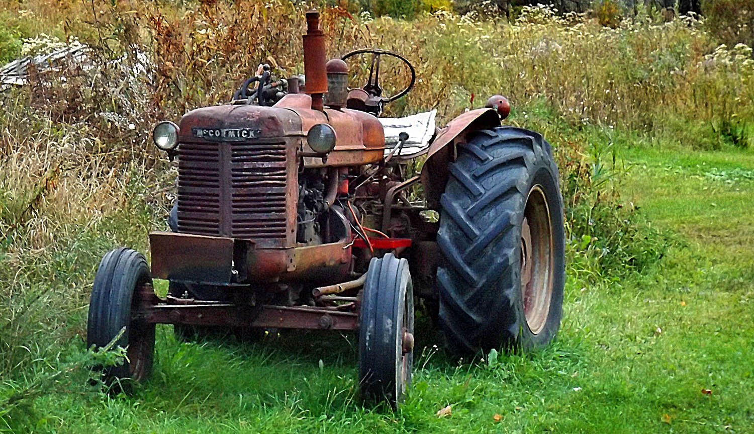 Mc Cormick TTX230