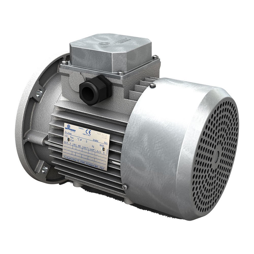 Electric motor Motovario TP100L6