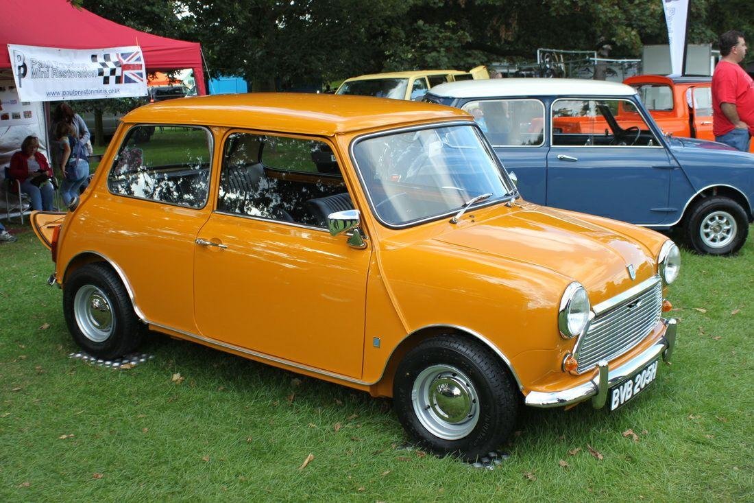 Transporter Leyland MINI