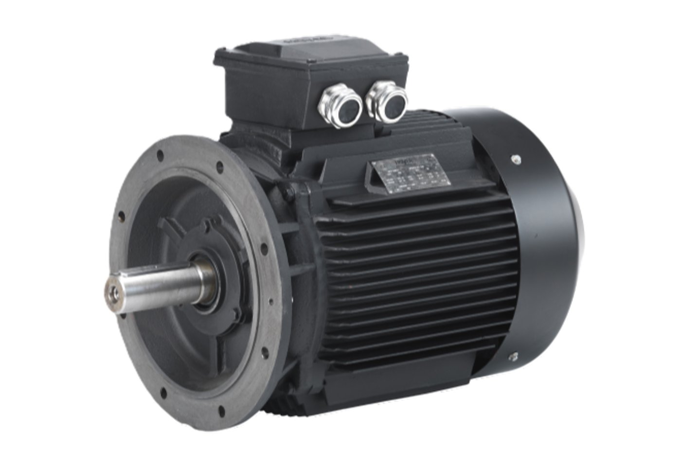 Elektromotor WE 1D200L2-2