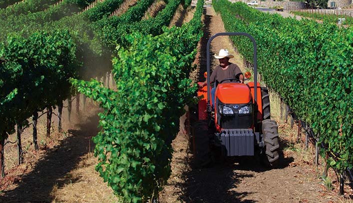 Tractor Haotian TY200 vineyard