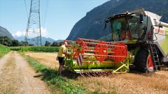 CLAAS SF55