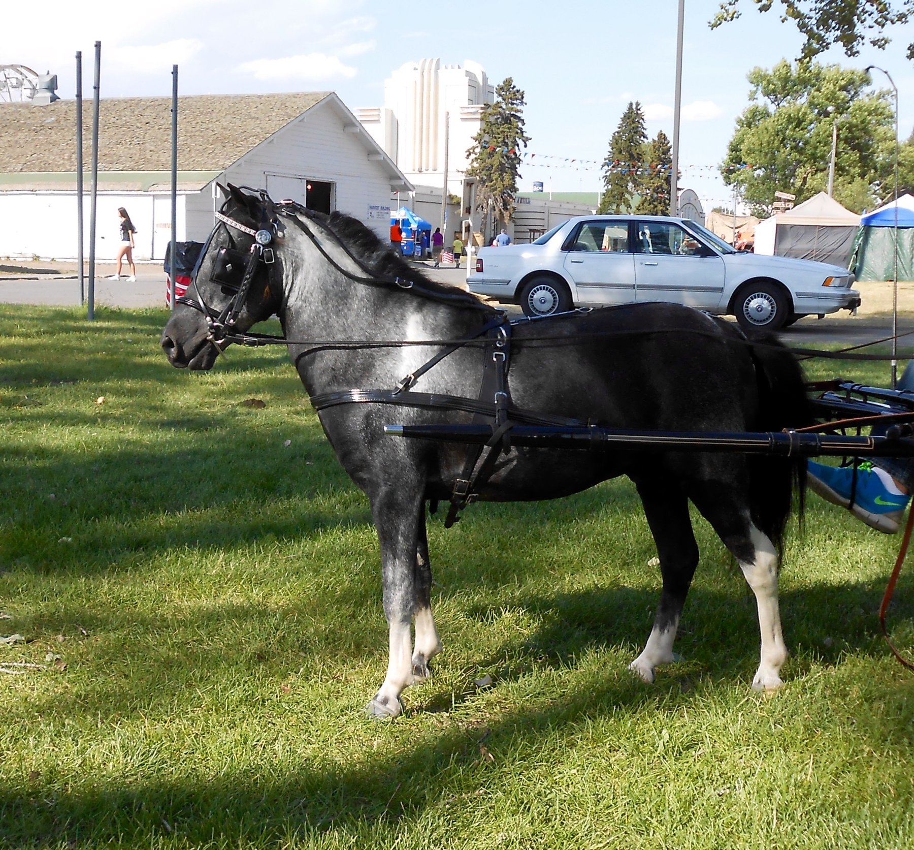Van Eigenbouw AHS PONY