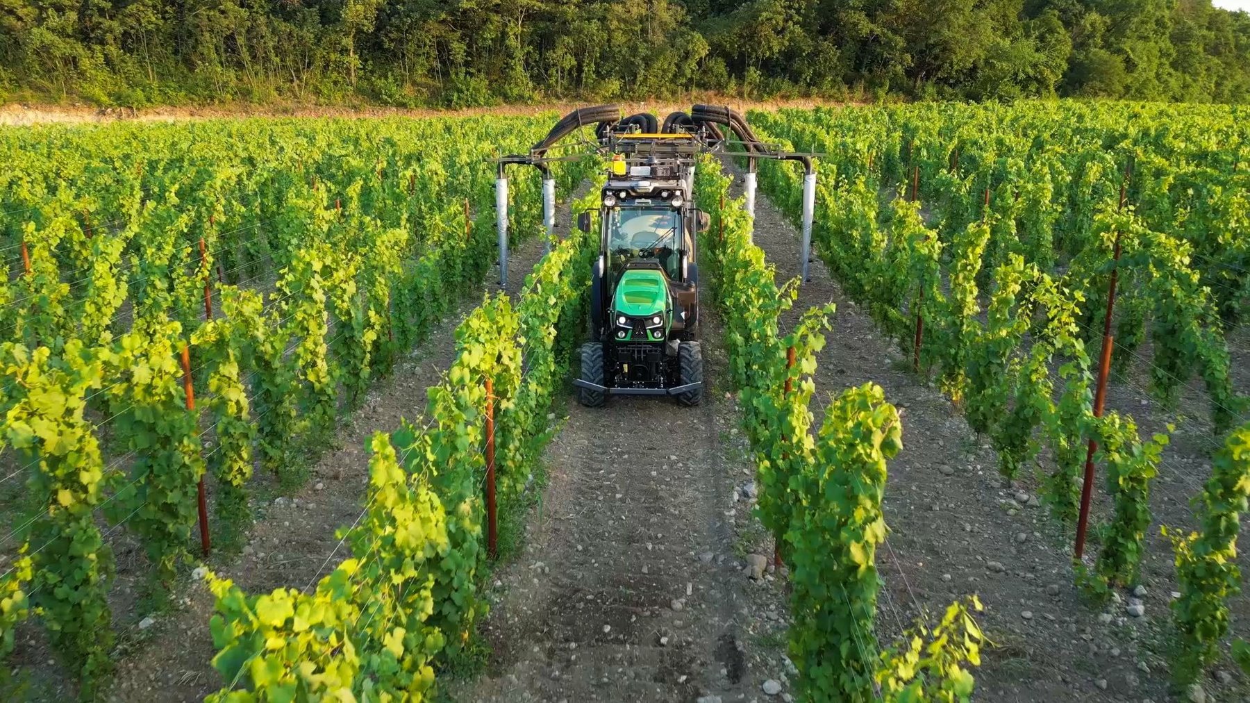 Tractor Vineyard Dexheimer AL 243