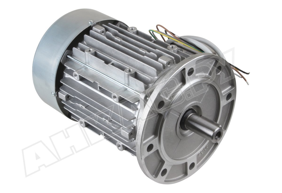 Electric motor Ceg Premium DG 80 M-19-4