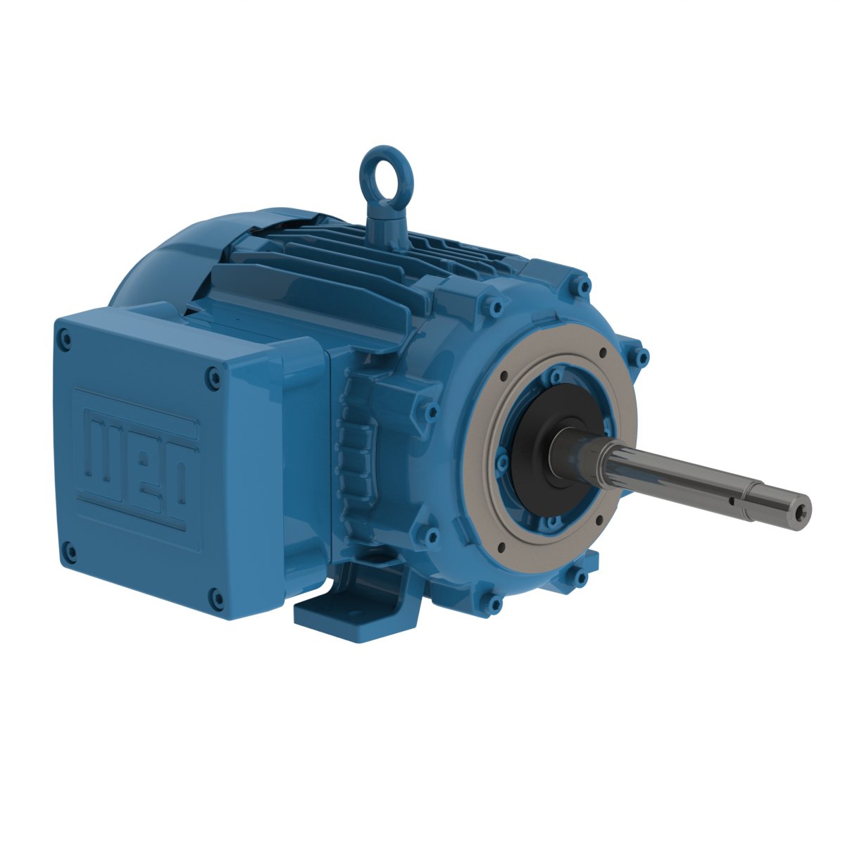Electric motor Rxm Ef Series T11D4RXMEF