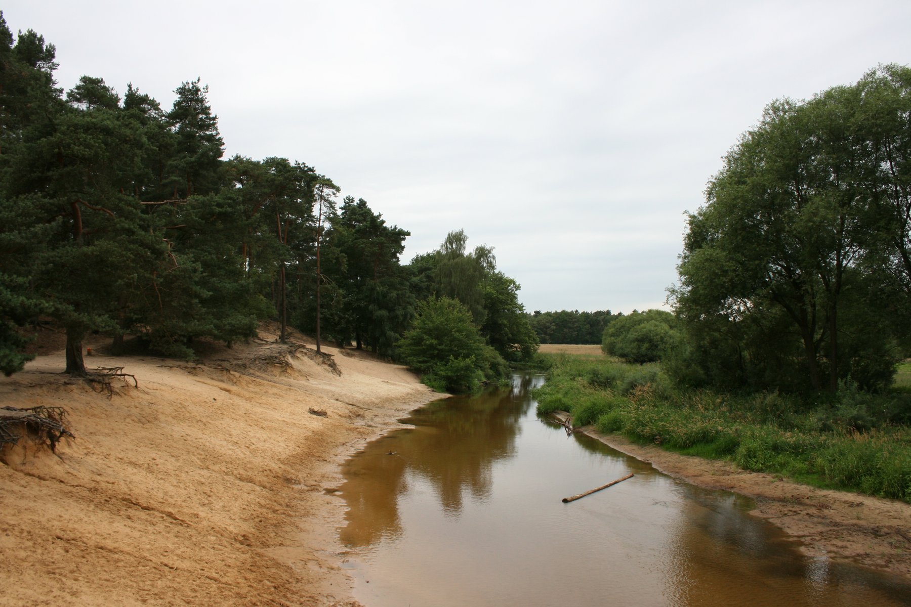 Trailer Dinkel -