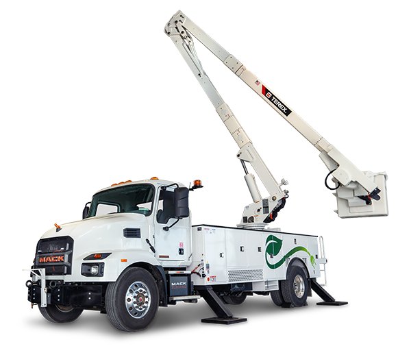 Truck Terex FDM300