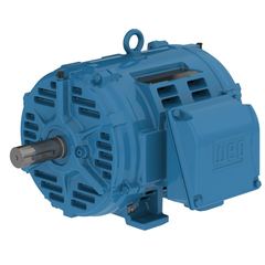 WEG 160M