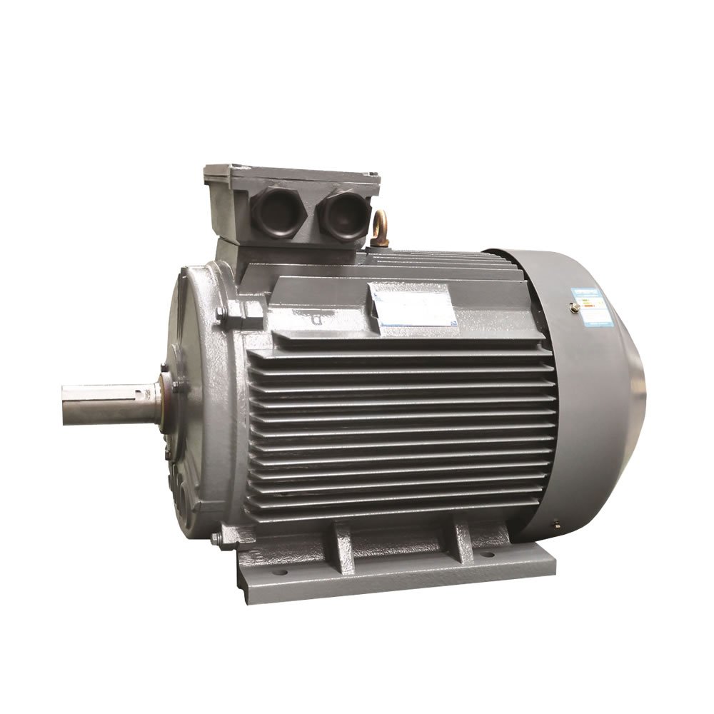 Electric motor S&l YE2-225M-2