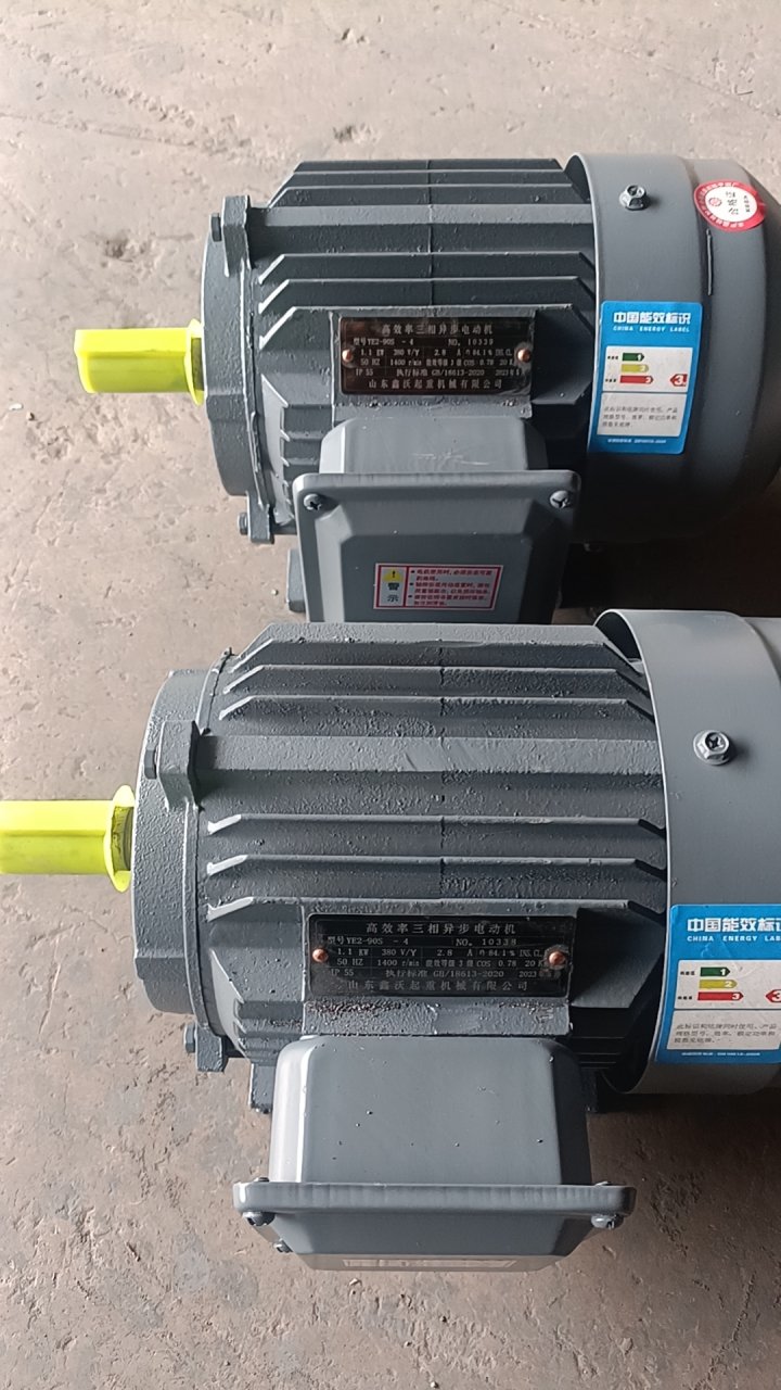 Electric motor S&l YE2-90L-6