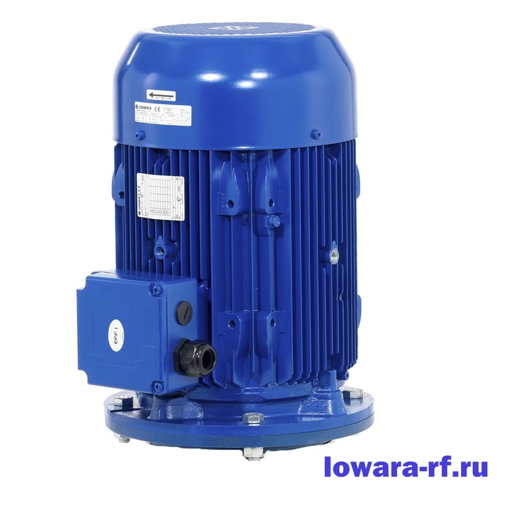 Elektromotor Lowara PLM4100B35/322 E3
