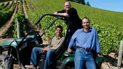 Vineyard Catron IC85V
