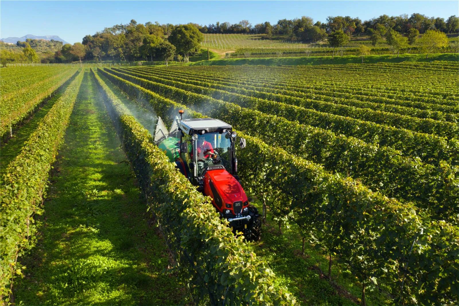 Tractor Europard 604 vineyard
