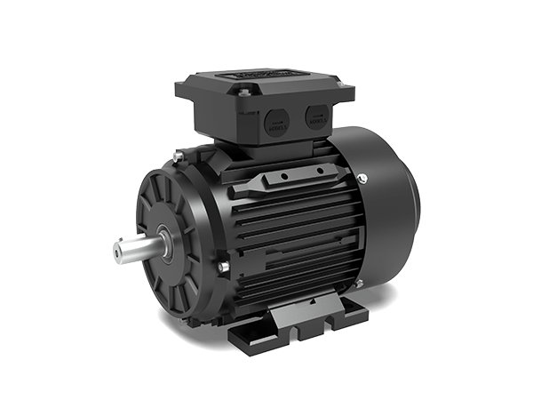 Electric motor Techtop TCP 160M1-2