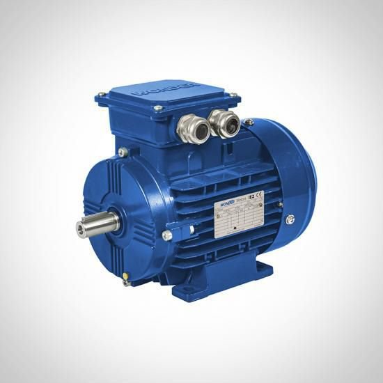 Electric motor Wonder ZWE 250M-2