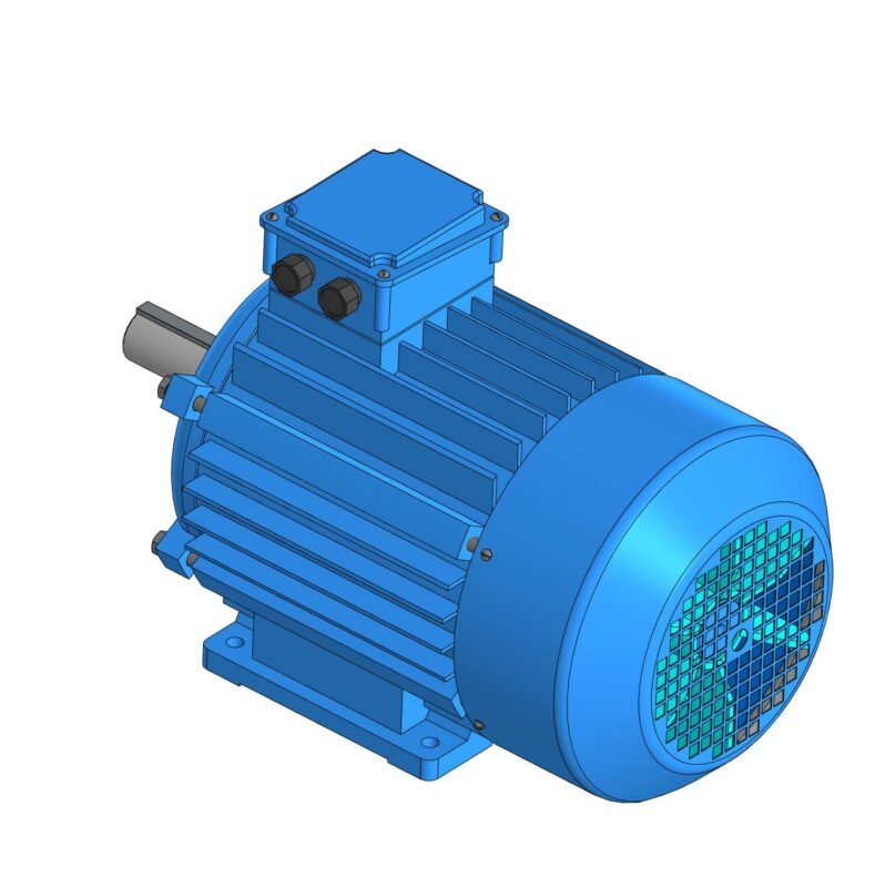 Electric motor RCG T160D2HRCG