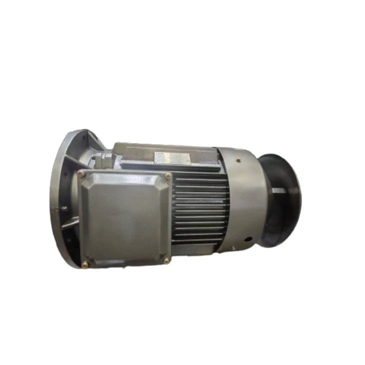Electric motor Remx DG-200L2-55-6