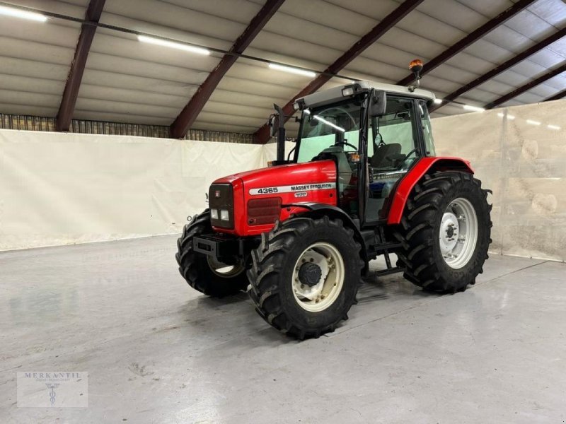 Tractor AGCO Massey Ferguson MF 4365 (A)