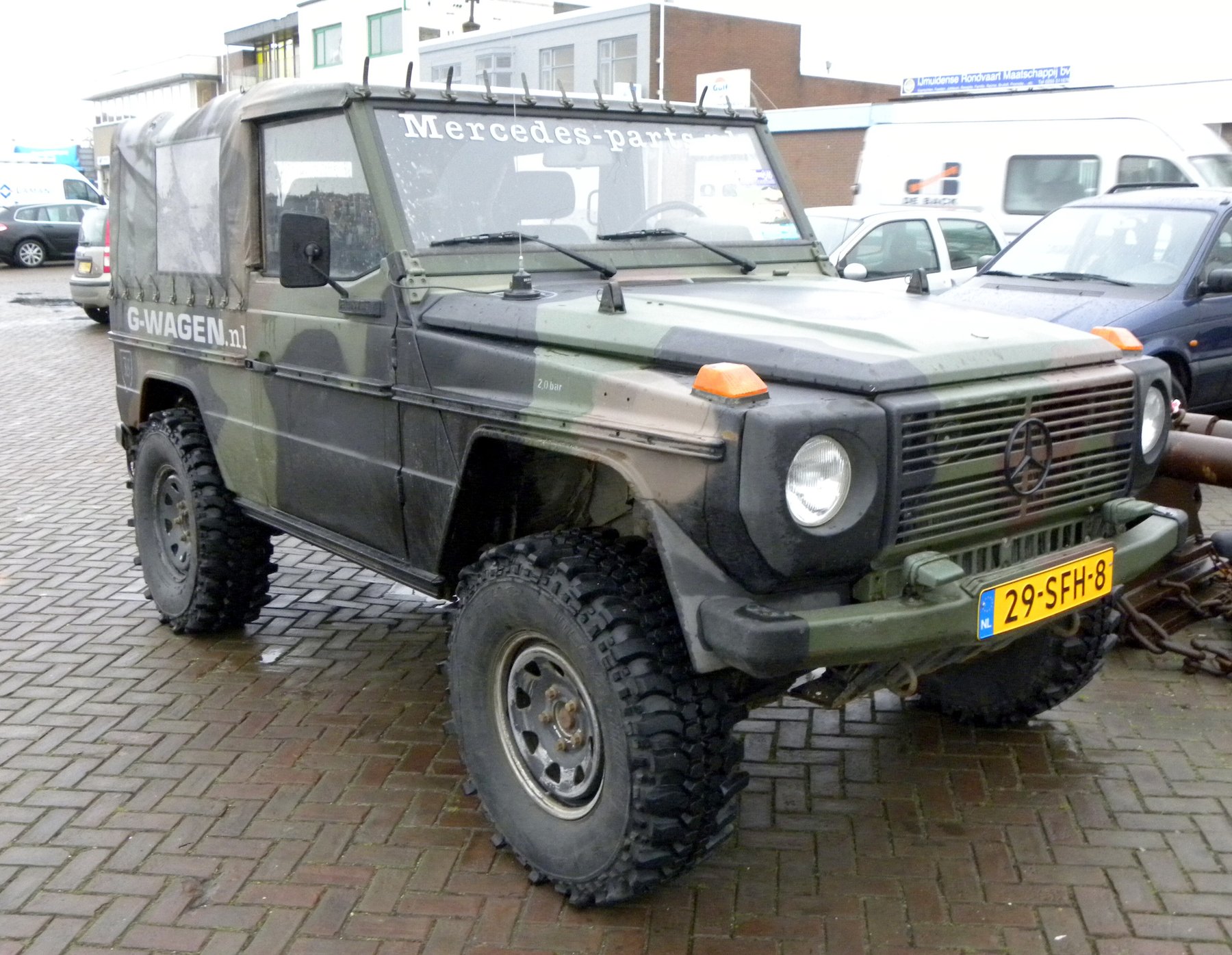 Van Mercedes Benz 250 GD