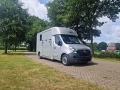 Stx MOVANO HORSEBOX