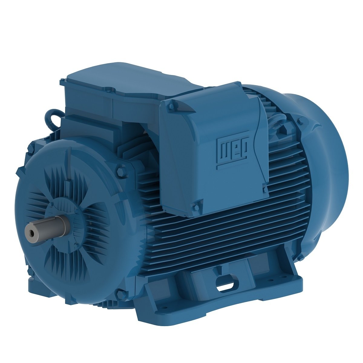 Electric motor WE 1D315S-8