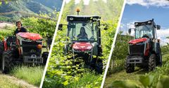AGCO Massey Ferguson MF 3600 (Spezialmodelle)