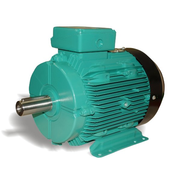 Elektromotor Crompton Greaves T2.2D2NDEX