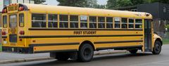 International IC School Bus (CE, RE)