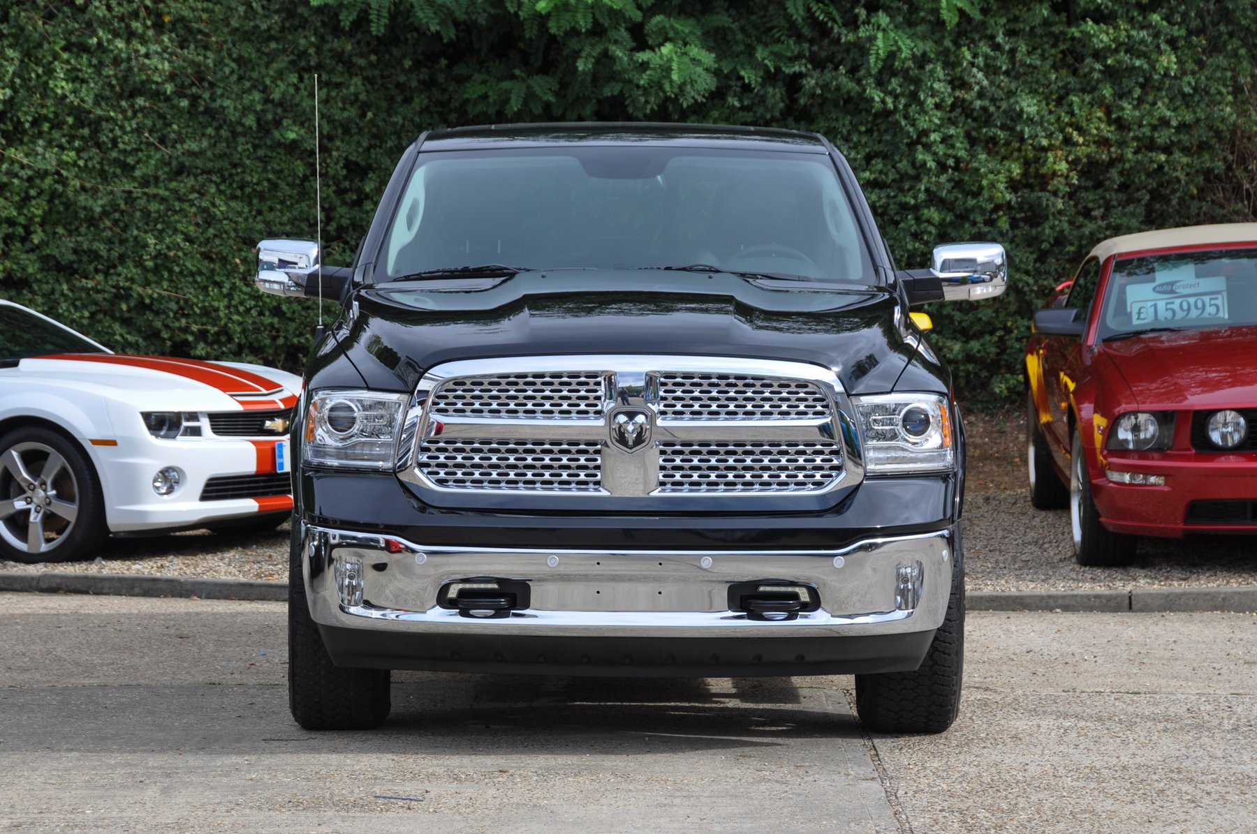 Transporter Ram RAM 3.0 ECODIESEL