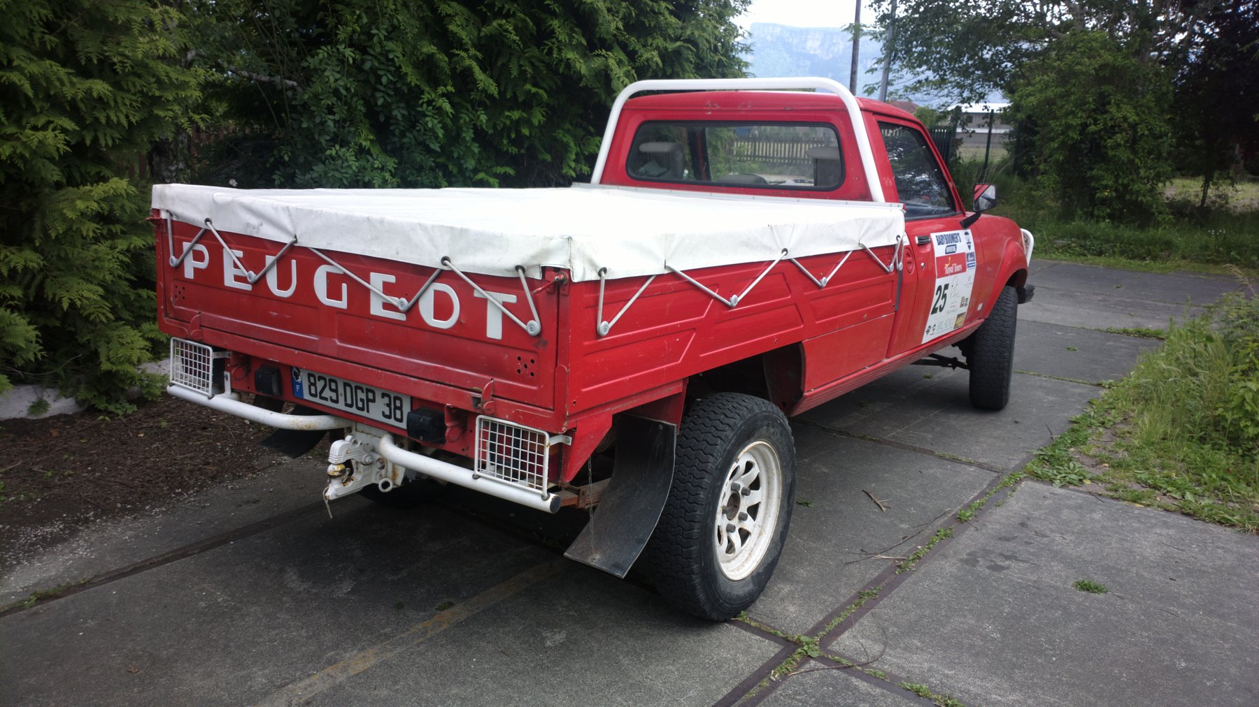 Dangel PROACE 4x4