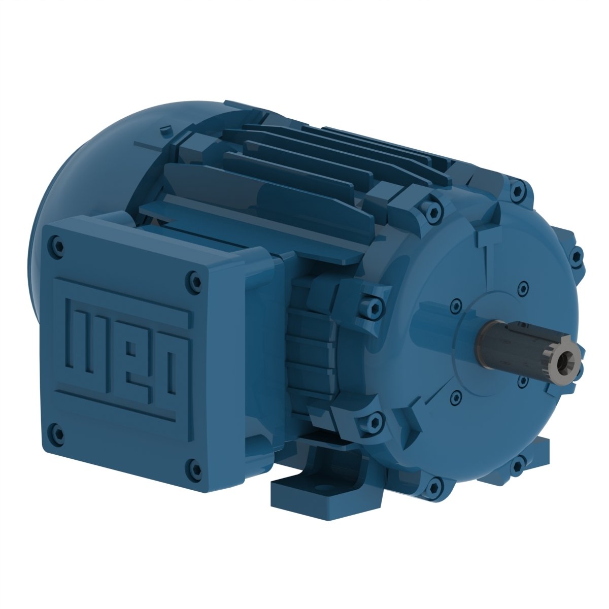 Electric motor WEG A020873936