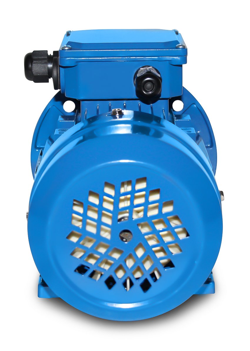 Electric motor Moto Technik MS1.1/B3/6