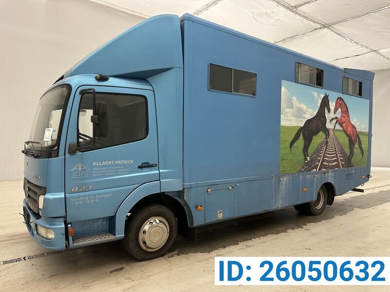 Van Mercedes Benz Horse Combi