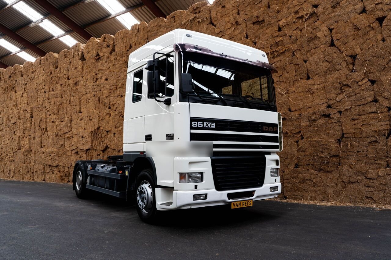 Truck DAF FTXF 95.480