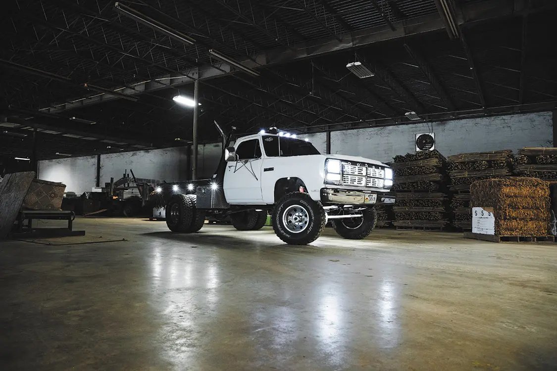 Lastwagen Dodge DODGE W 350