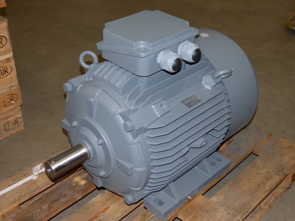 Electric motor Hoyer HMC3 250M-2