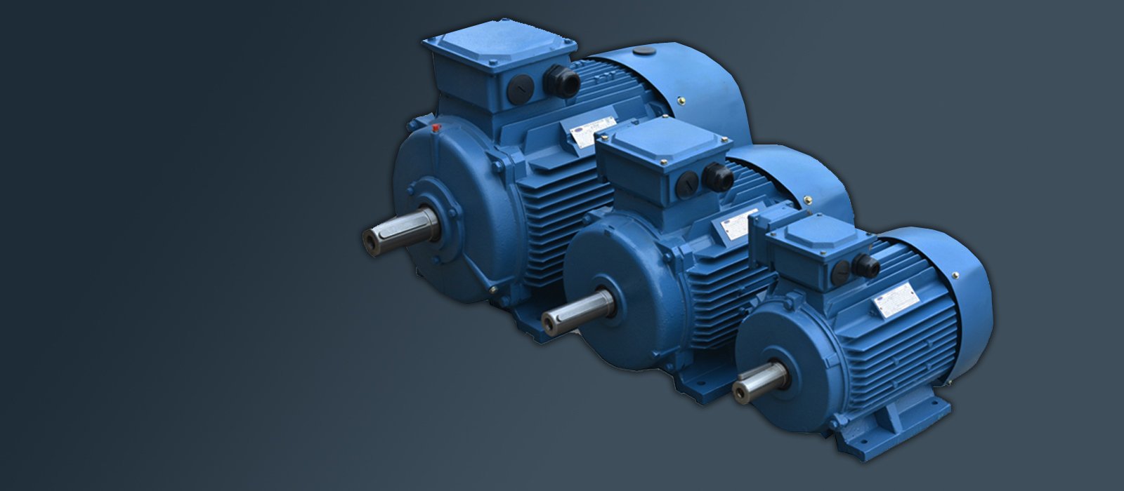 Electric motor Emtomec PHE160L4