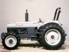 White American 80