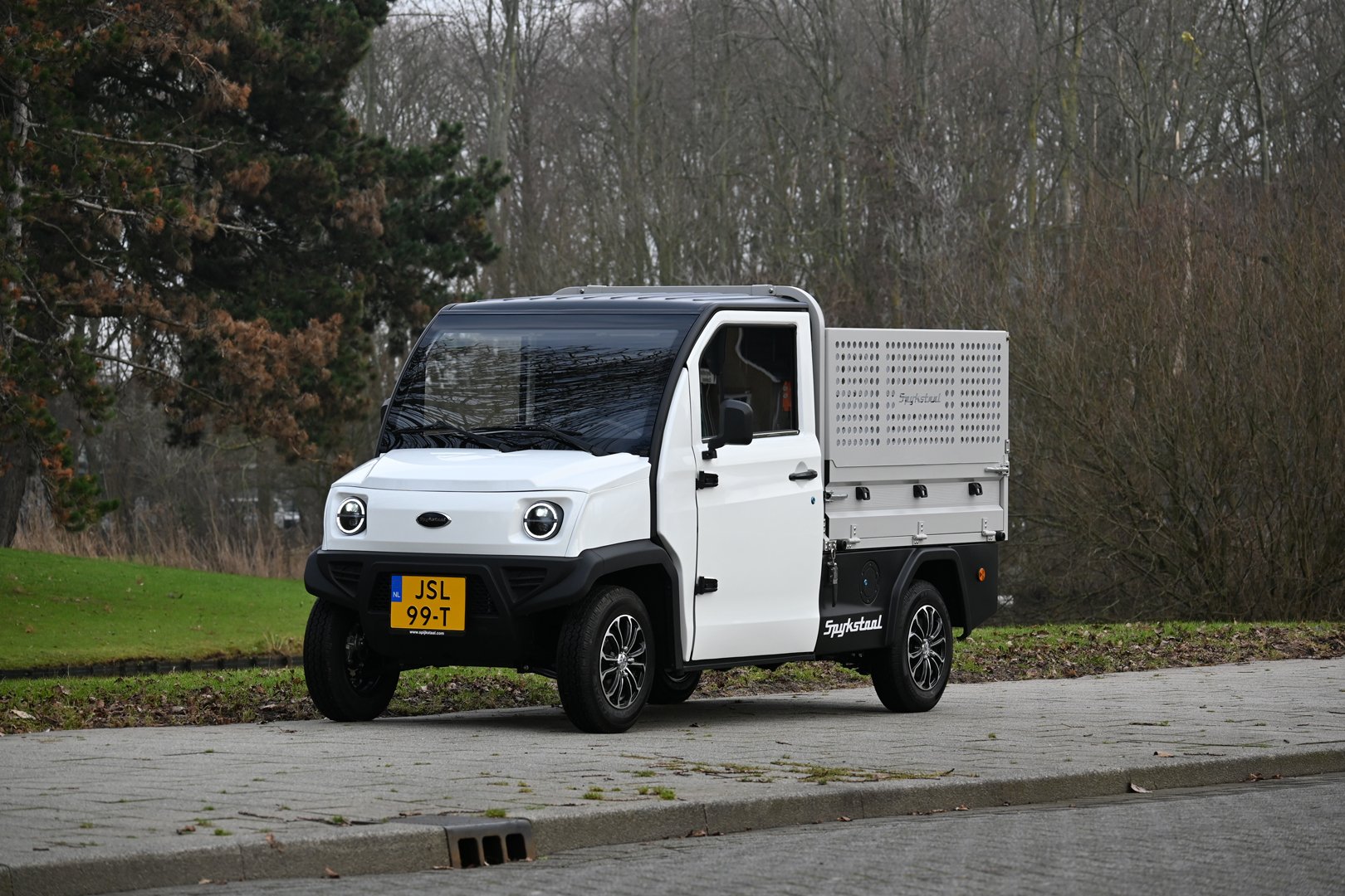 Spijkstaal 7009