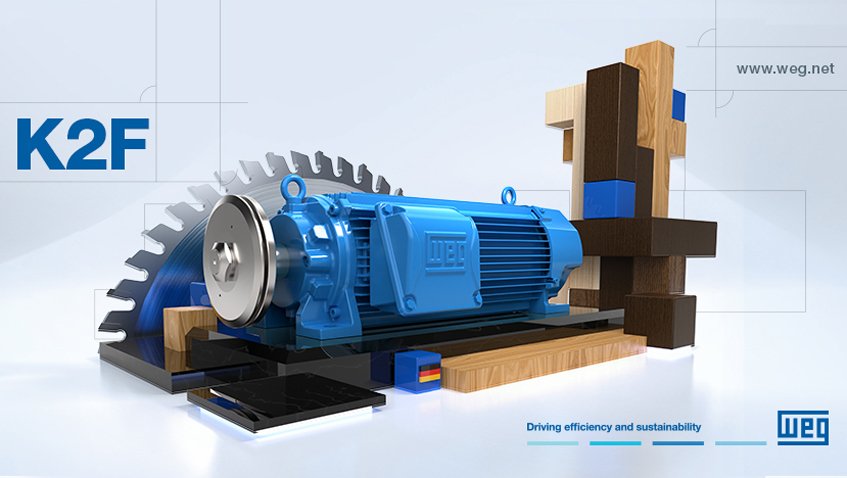 Electric motor WEG K25B EXNE2
