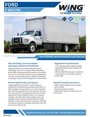 Wing Fuel Systems Other models