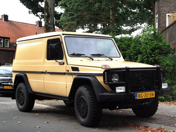 Van Mercedes Benz 300 GD VAN LANG