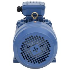 Rotek RX 132 Kw 3 Phase 4 Pole Motor