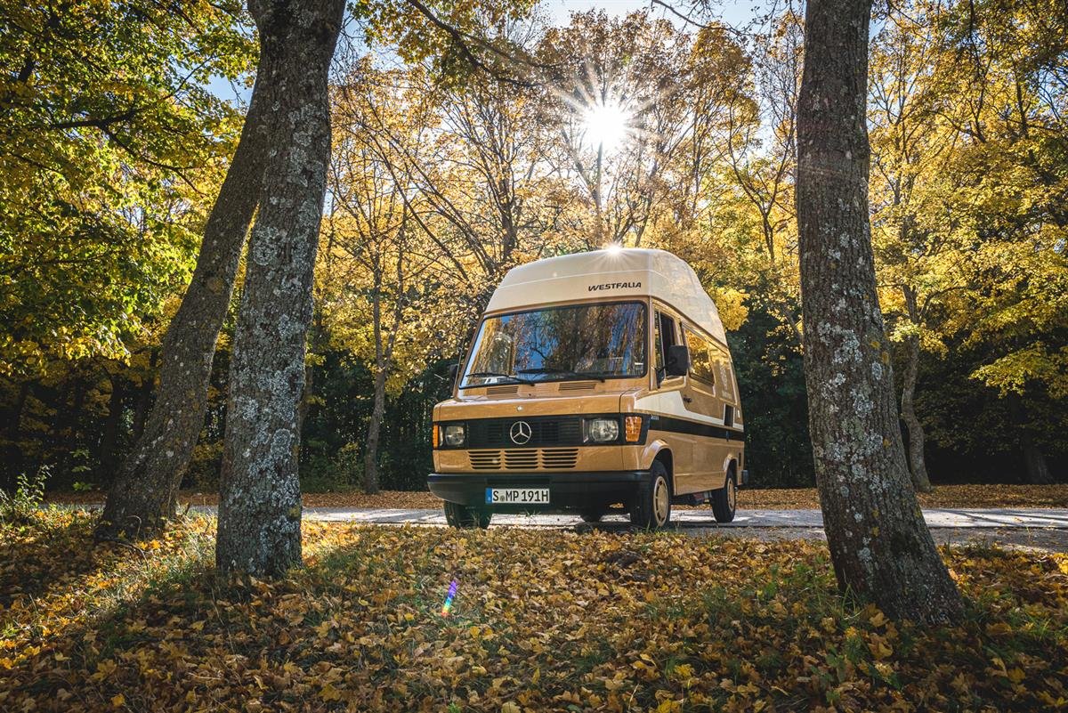 Van Mercedes Benz 209 D-II