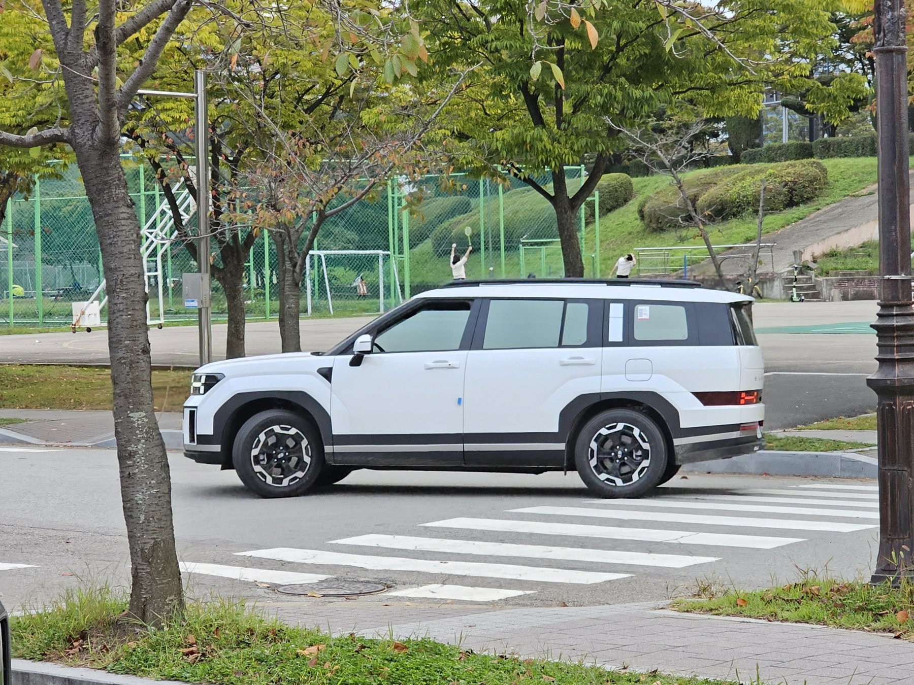 Van Hyundai SANTE FE