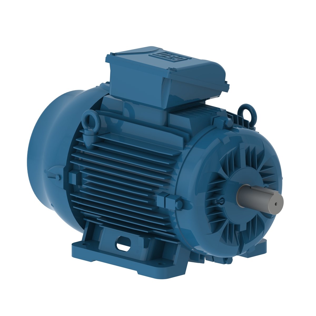 Electric motor WE 1D355M1-6