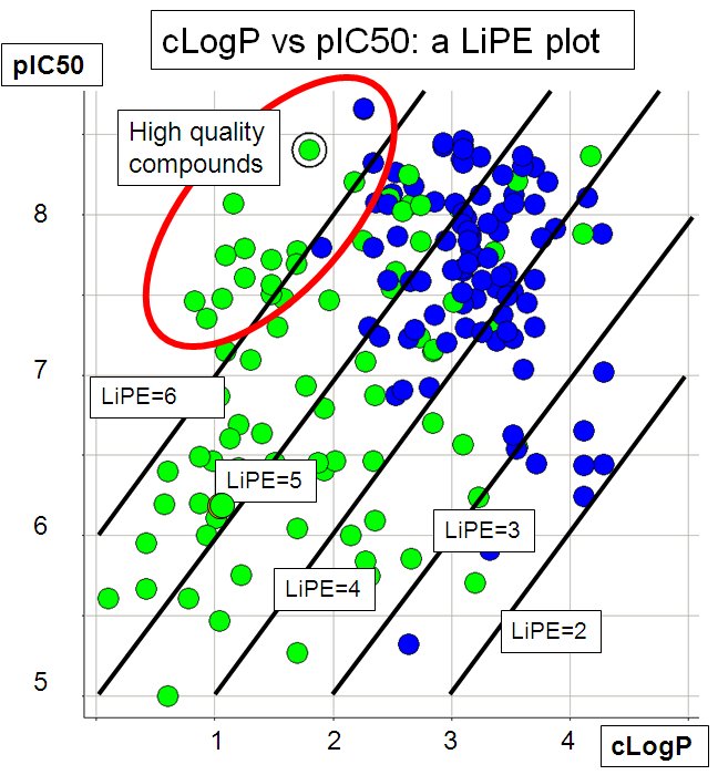 Anhänger Lipe PV KP HP