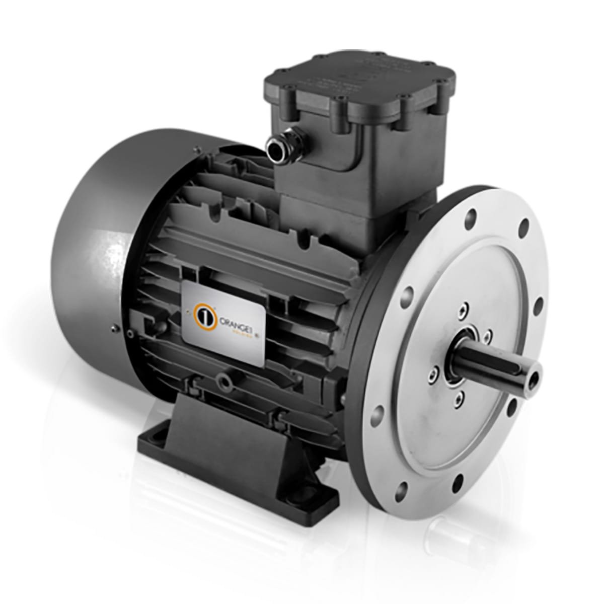 Electric motor CEG MT90LA2-FHCH