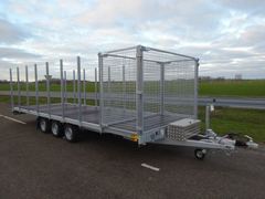 Titan Jelsum V3530